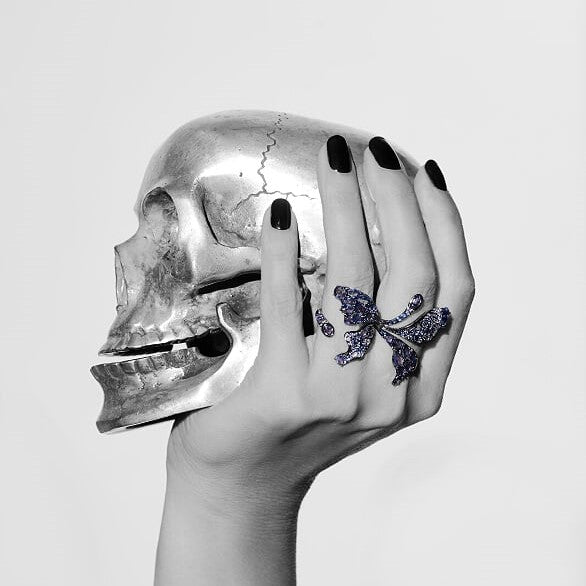 Butterfly Collection